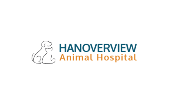 HanoverView Animal Hospital