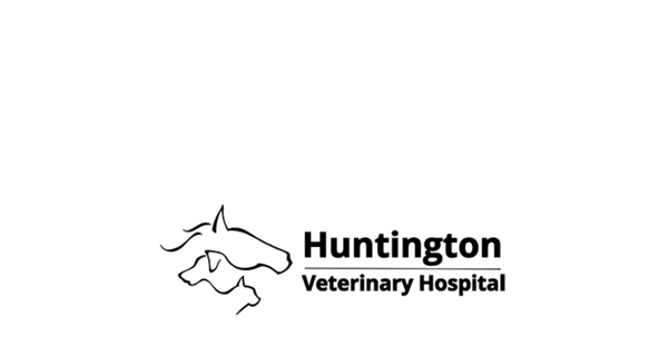 Huntington Veterinary Hospital
