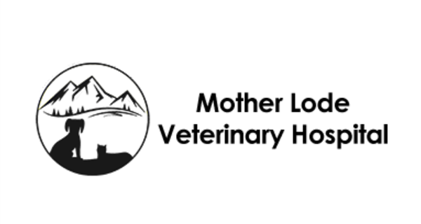 Mother Lode Veterinary Hospital