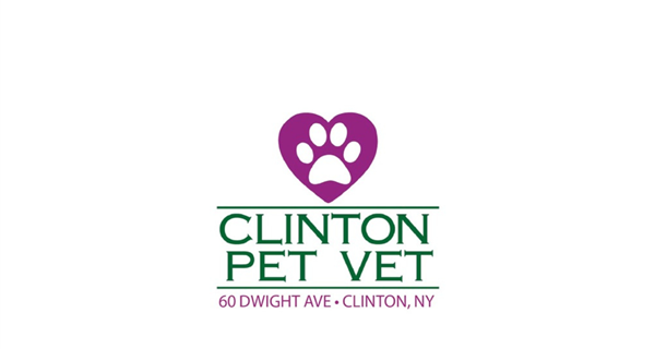 Clinton Pet Vet