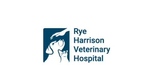 Rye Harrison Veterinary Hospital