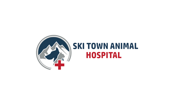 Ski Town Animal Hospital