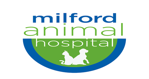 Milford Animal Hospital