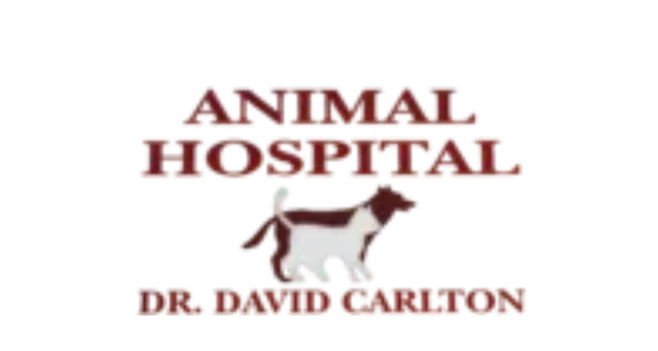 Carlton Animal Clinic