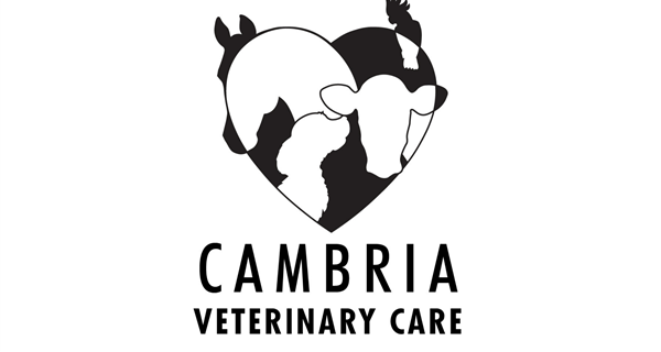 Cambria Veterinary Care