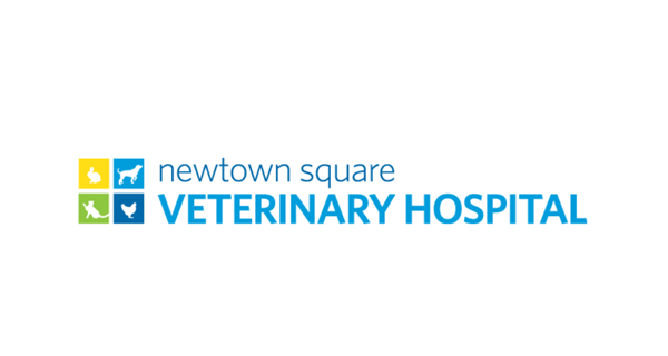 Newtown Square Veterinary Hospital