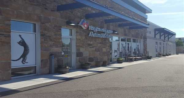 Brighton-Eggert Animal Clinic and Pet Resort