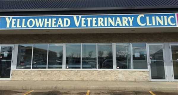 Yellowhead Veterinary Clinic