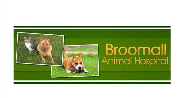 Broomall Animal Hospital