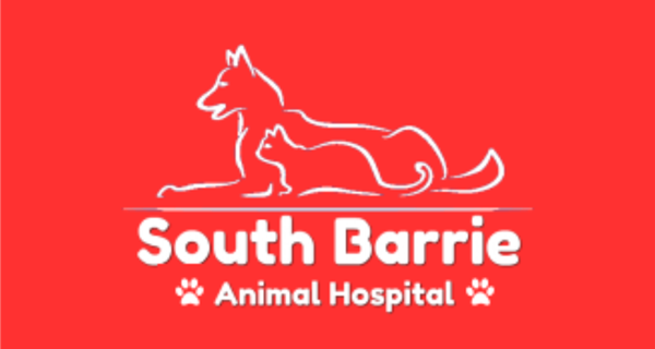 South Barrie Animal Hospital