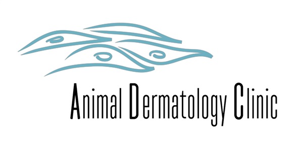 Animal Dermatology Clinic - Indianapolis