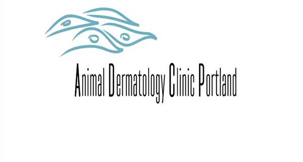 Animal Dermatology Clinic - Portland