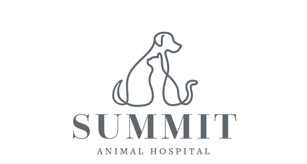 Summit Animal Hospital