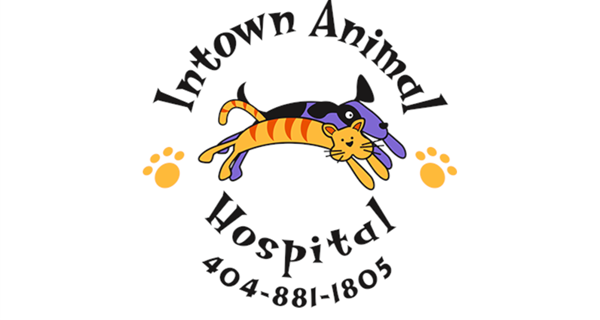 Intown Animal Hospital