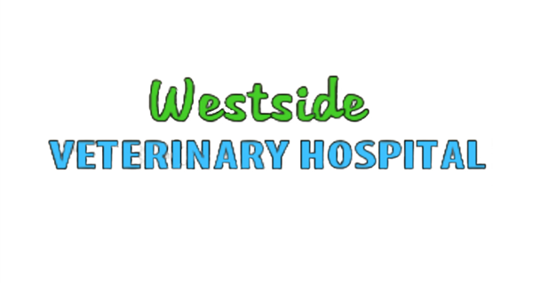 Westside Veterinary Hospital