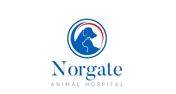 Norgate Animal Hospital