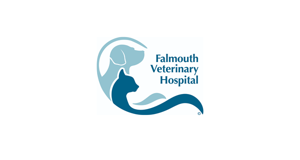 Falmouth Veterinary Hospital