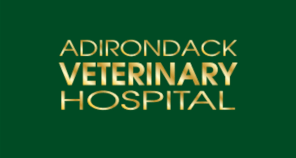 Adirondack Veterinary Hospital