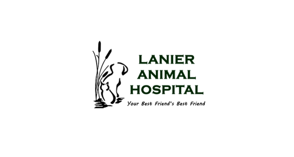 Lanier Animal Hospital