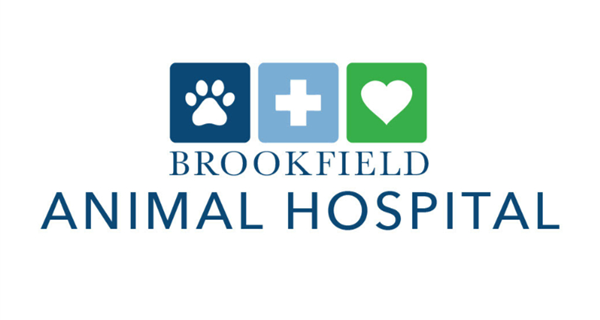 Brookfield Animal Hospital