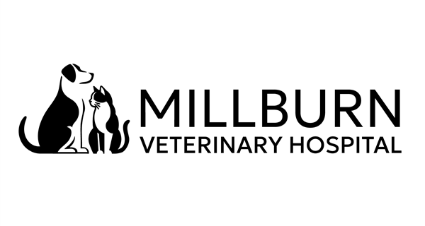 Millburn Veterinary Hospital