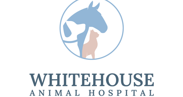 Whitehouse Animal Hospital