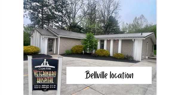 Clearfork Veterinary Hospital