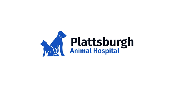 Plattsburgh Animal Hospital