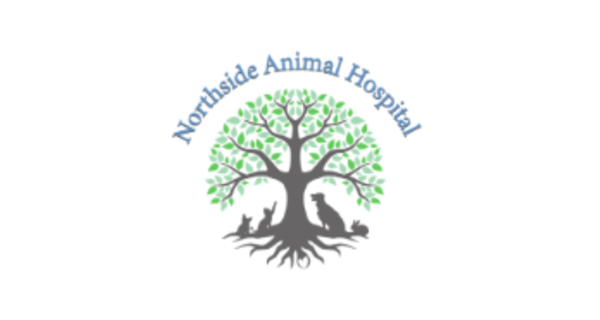 Northside Animal Hospital
