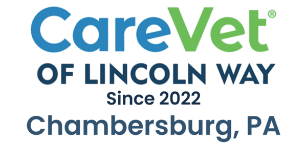 CareVet of Lincoln Way