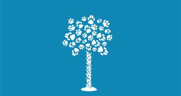 Palmetto Animal Hospital