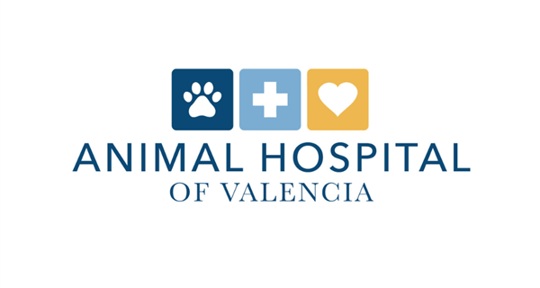 Animal Hospital of Valencia