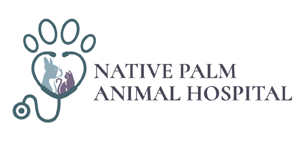 Native Palm Animal Hospital