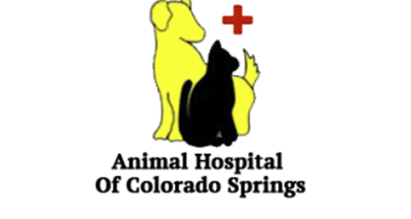 Animal Hospital of Colorado Springs