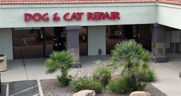 Rural Animal Clinic Dog & Cat Repair