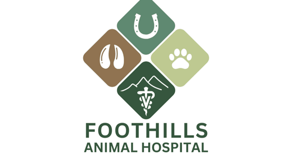 Foothills Animal Hospital