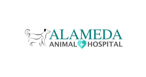 Alameda Animal Hospital
