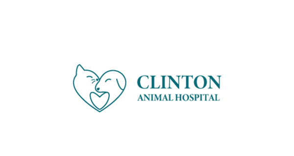 Clinton Animal Hospital