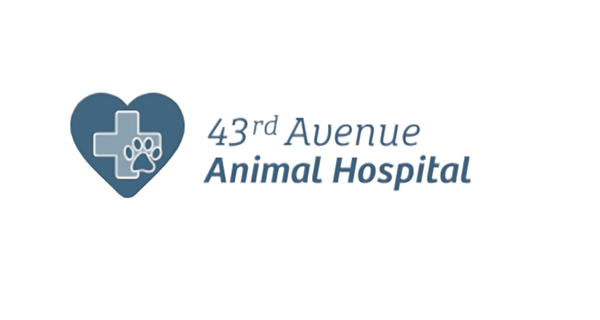 43rd Avenue Animal Hospital
