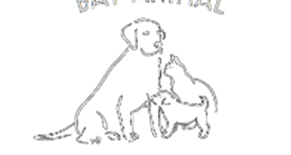 Bay Animal Hospital