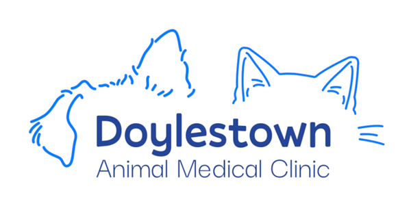 Doylestown Animal Medical Clinic