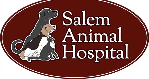 Salem Animal Hospital