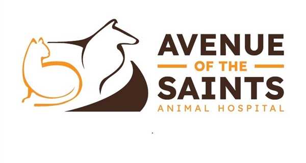 Avenue of the Saints Animal Hospital - Waverly