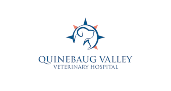 Quinebaug Valley Veterinary Hospital