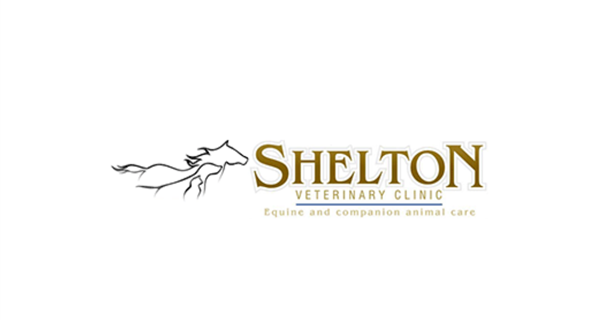 Shelton Veterinary Clinic
