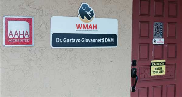 Wellswood Midtown Animal Hospital