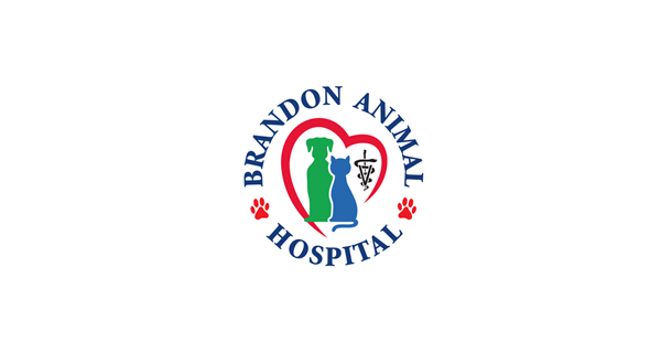 Brandon Animal Hospital