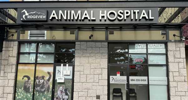 Ridgeview Animal Hospital