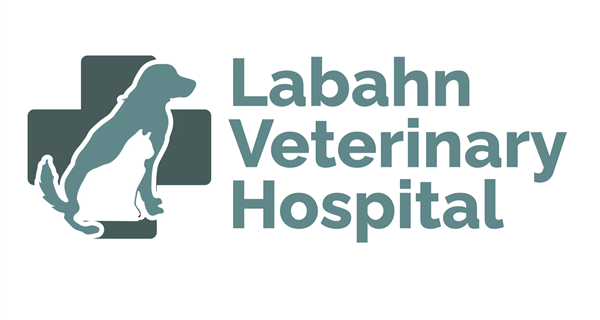 Labahn Veterinary Hospital