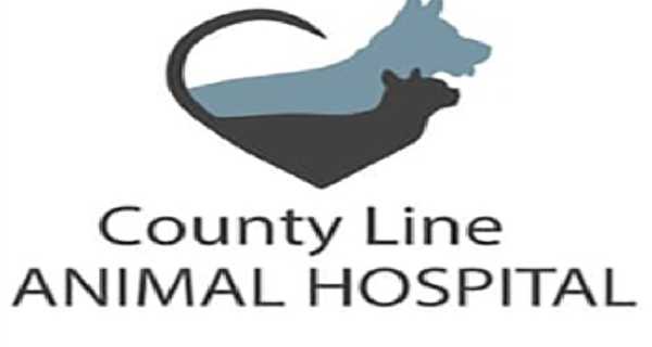 County Line Animal Hospital